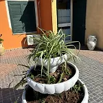 L'attico Di Giorgio Appartement *